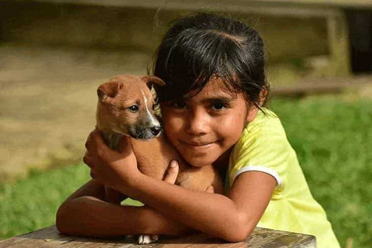 5-surprising-effects-of-hugging-your-dog-3 5 surprising effects of hugging your puppy