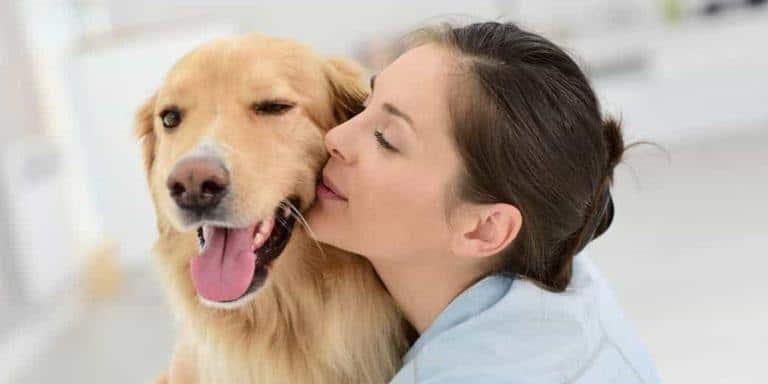 everything you need to know about your puppy