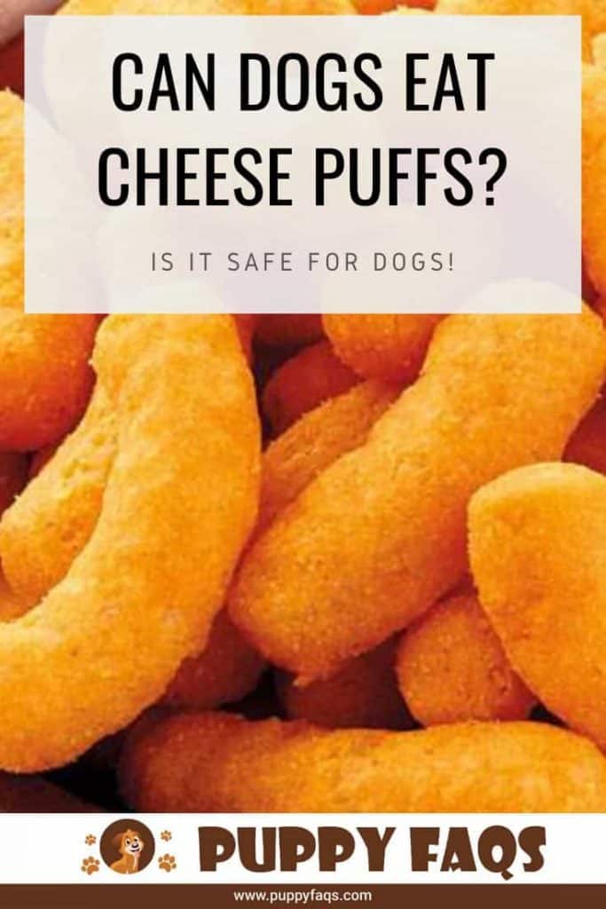 Can Dogs Eat Cheese Puffs? [Cheetos] PUPPYFAQS