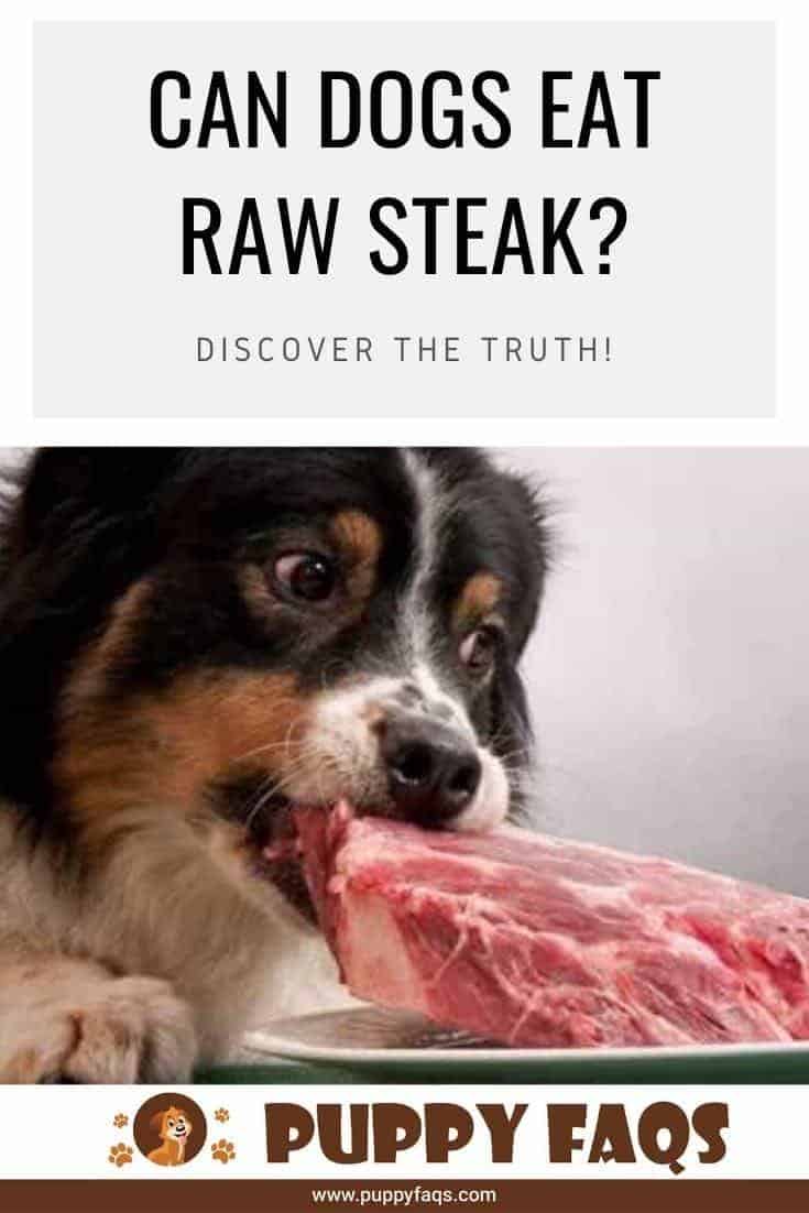 can dogs eat raw steak