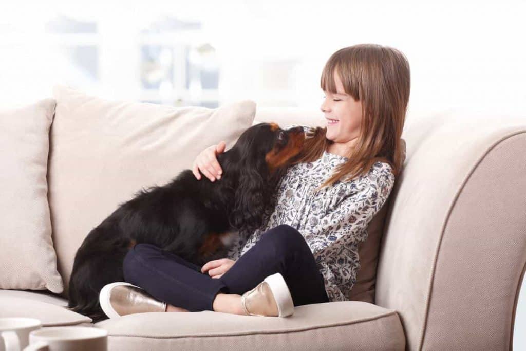 Why Do Dogs Like To Cuddle? PUPPYFAQS
