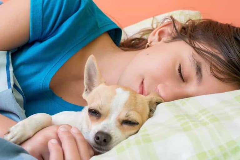Why Do Dogs Like To Cuddle? PUPPYFAQS