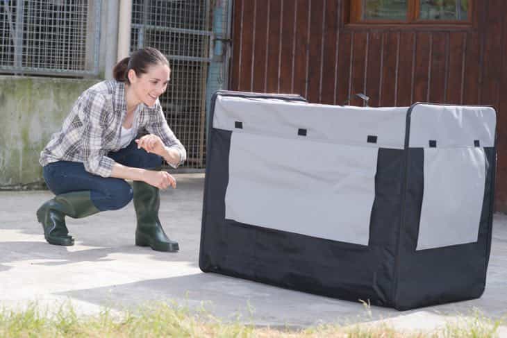 Should You Cover A Dog Crate With A Blanket